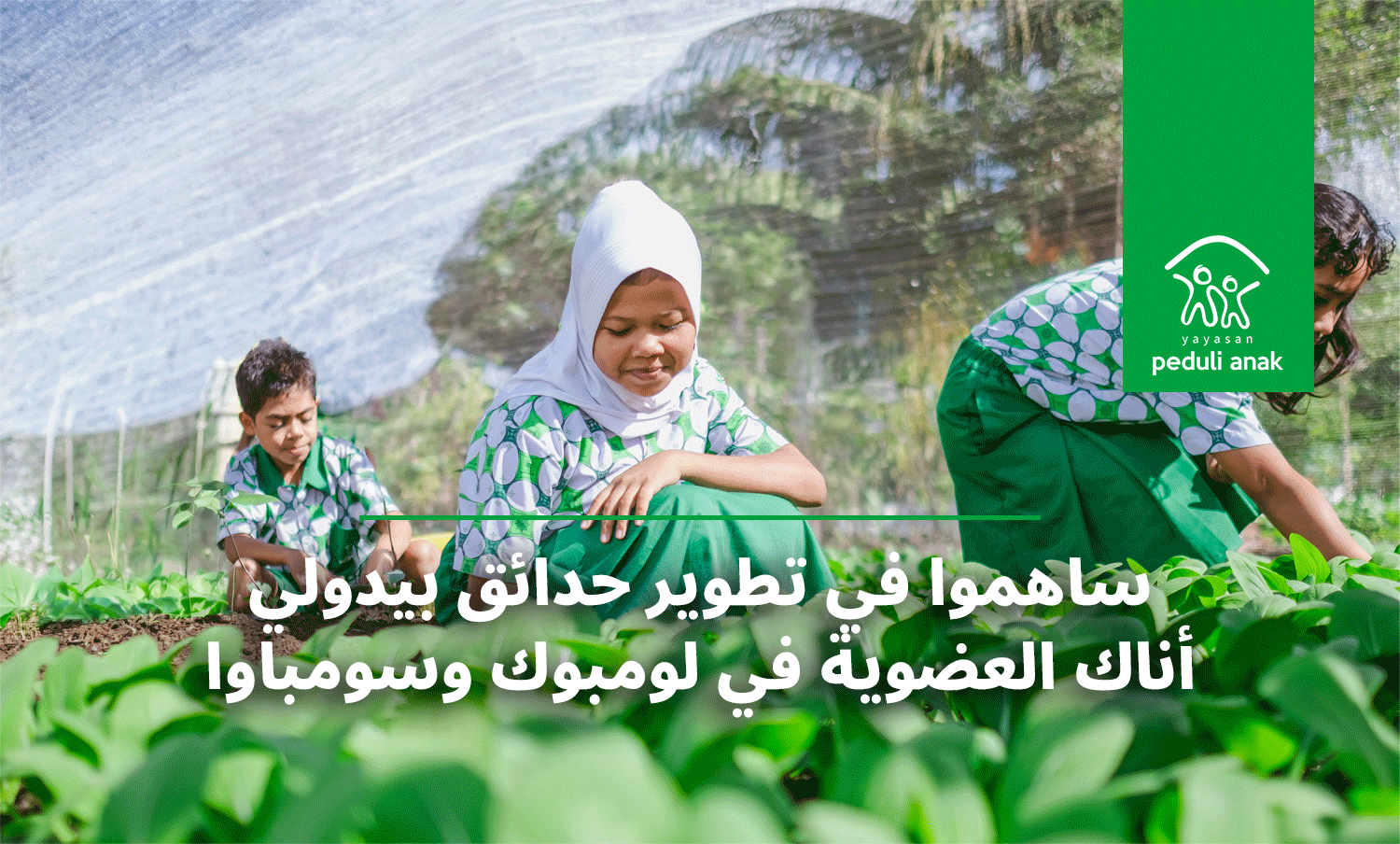 ساهموا في تطوير حدائق بيدولي أناك العضوية في لومبوك وسومباوا