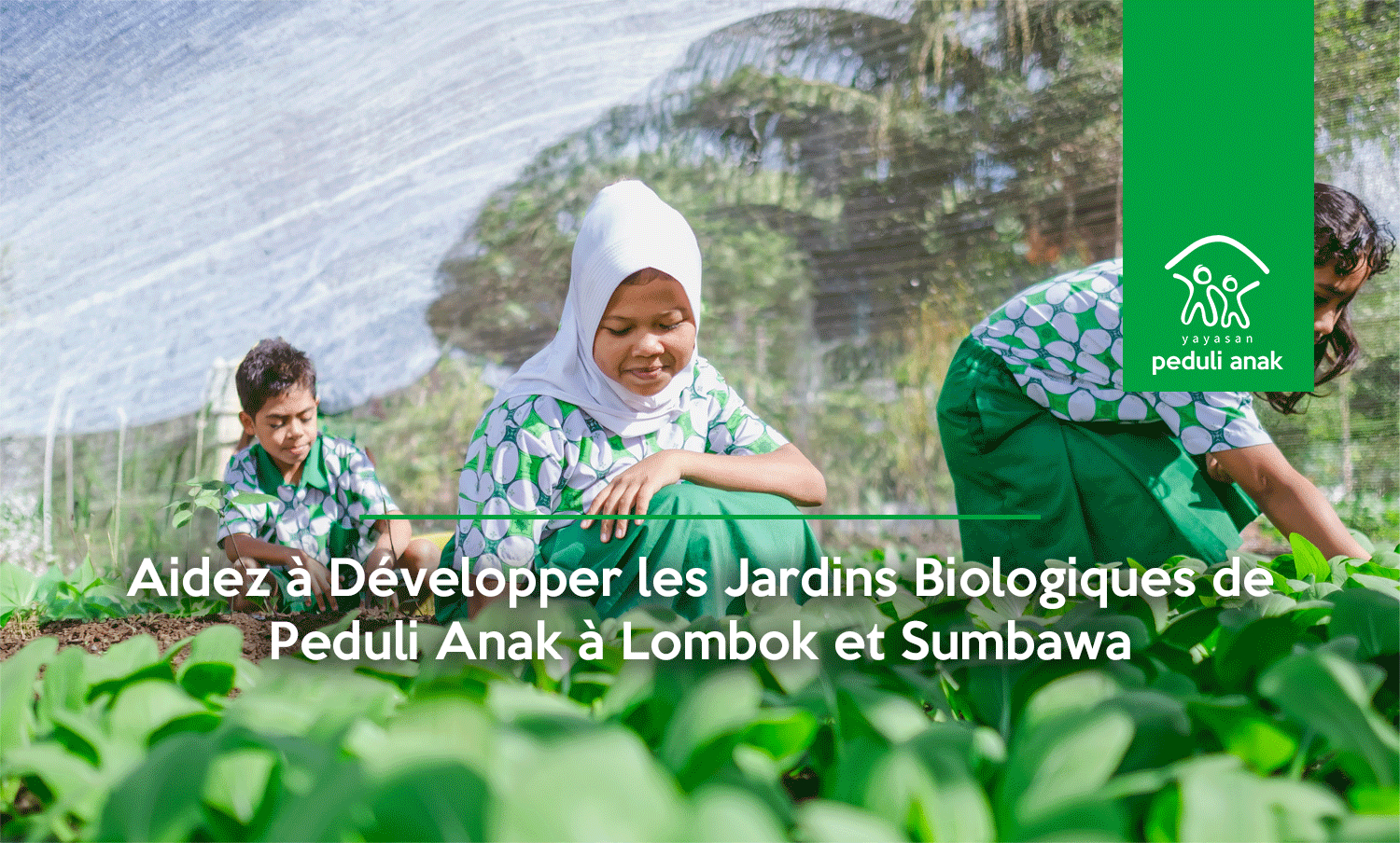 Aidez à Développer les Jardins Biologiques de Peduli Anak à Lombok et Sumbawa