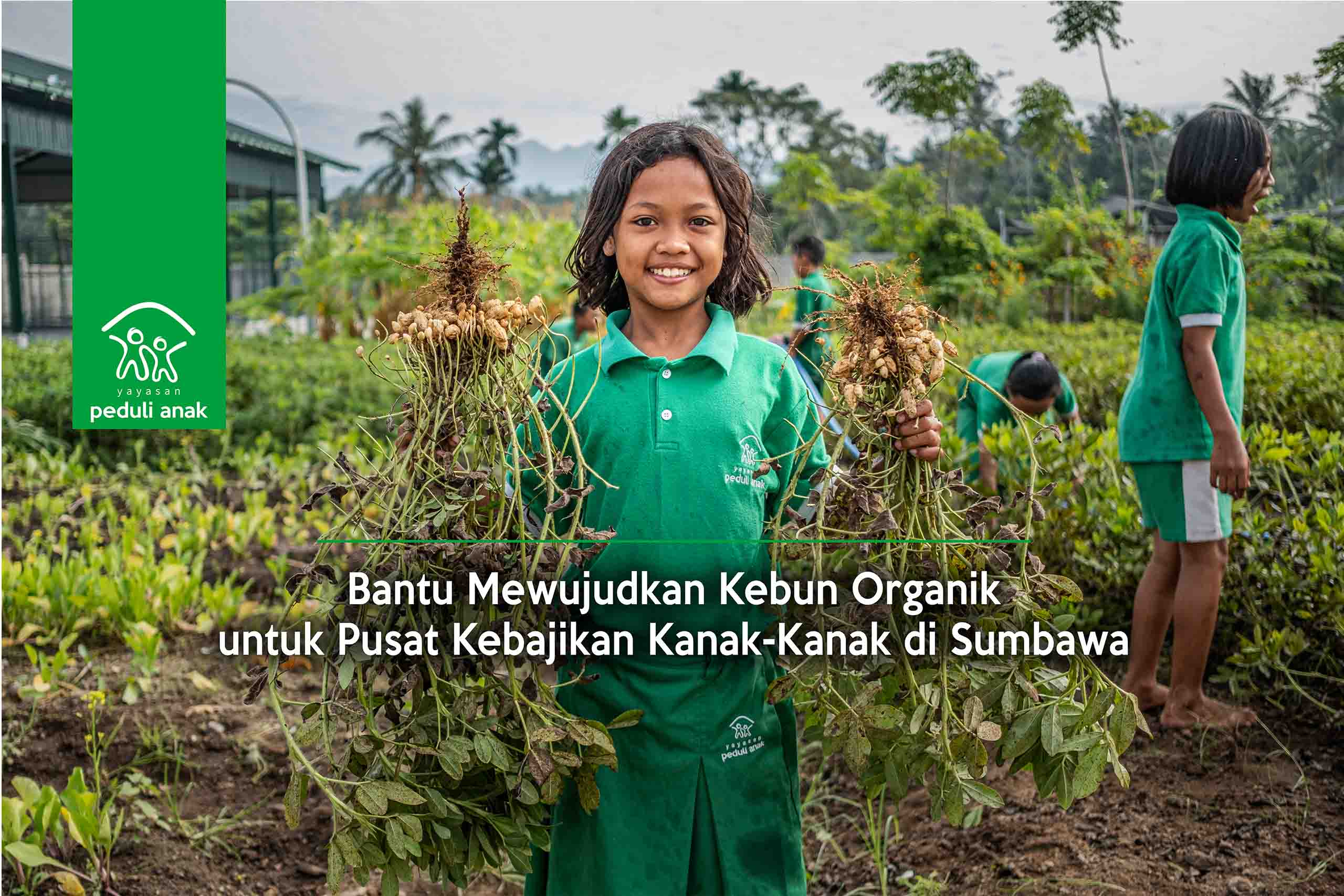 Bantu Mewujudkan Kebun Organik untuk Pusat Kebajikan Kanak-Kanak di Sumbawa