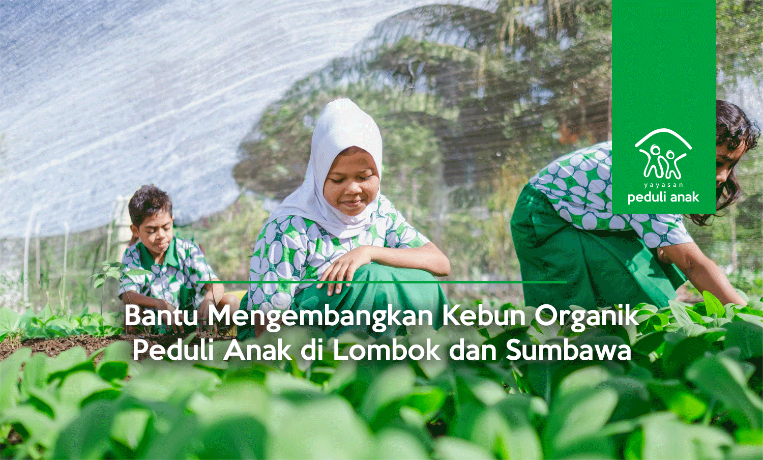 Bantu Mengembangkan Kebun Organik Peduli Anak di Lombok dan Sumbawa