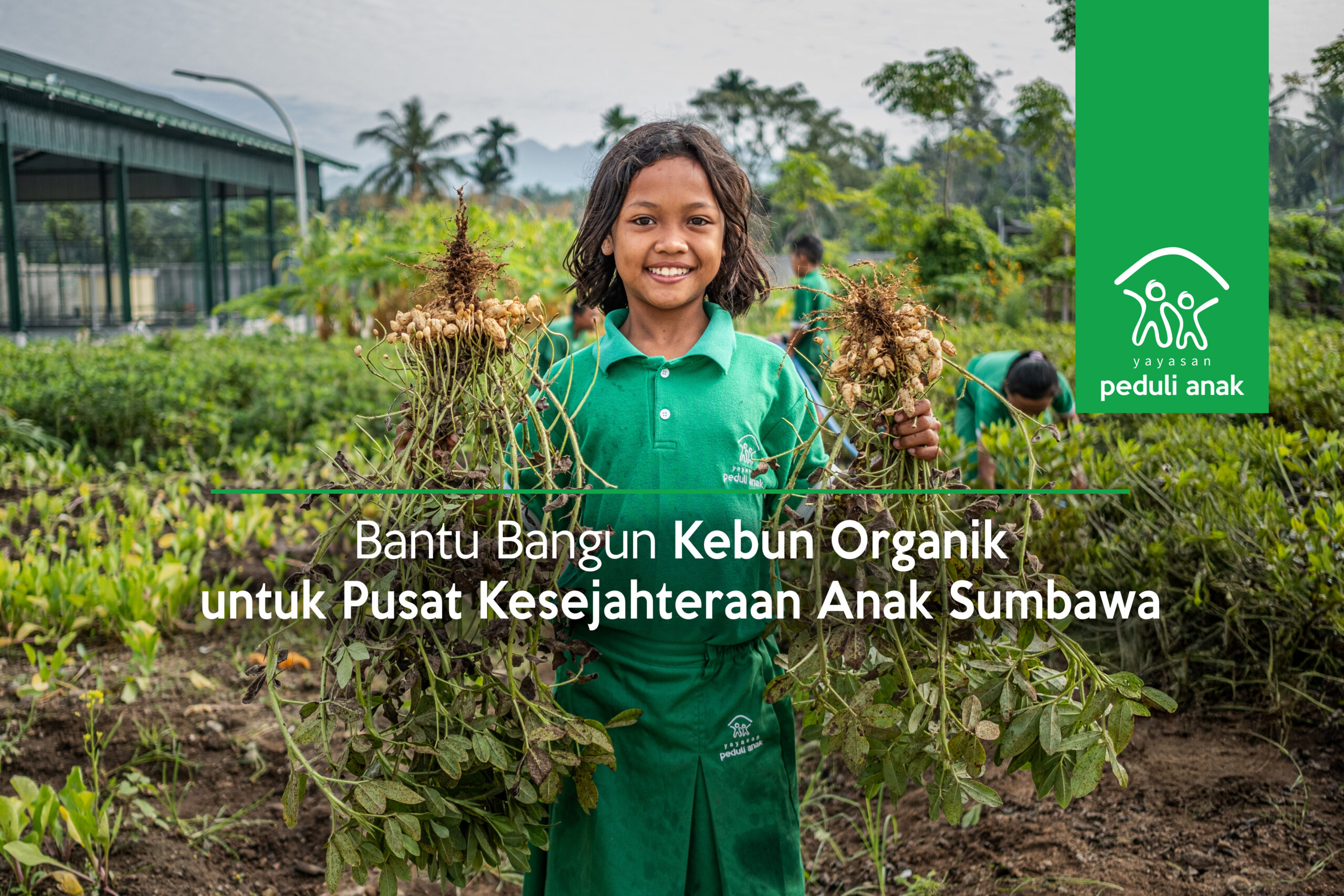 Bantu Bangun Kebun Organik untuk Pusat Kesejahteraan Anak Sumbawa