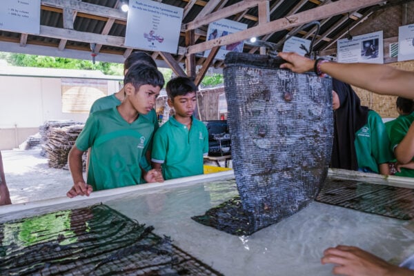 From Sea to Pearl A Learning Experience