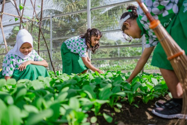 Hydroponic Garden, A New Place to Learn